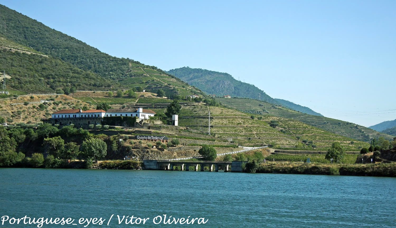 Quinta do Tedo